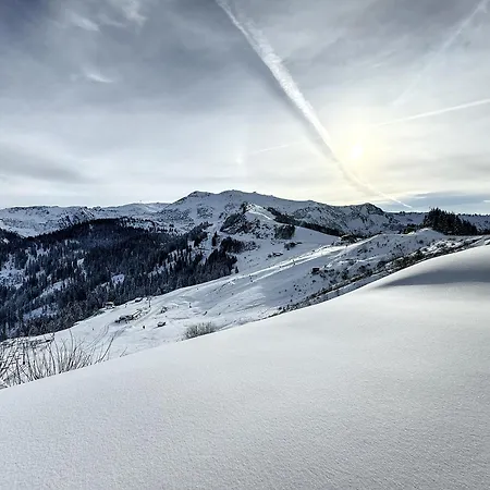 Ski1600 - Grandmassif Lejlighed